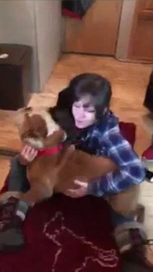 Dog Humps Rescuer On First Day At New Home Daily Mail Online