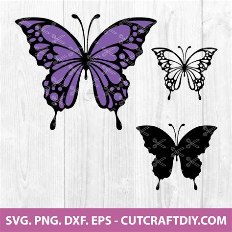 Free Butterfly Svg Images 151 Butterfly Svg Vector Free Svg Png Eps