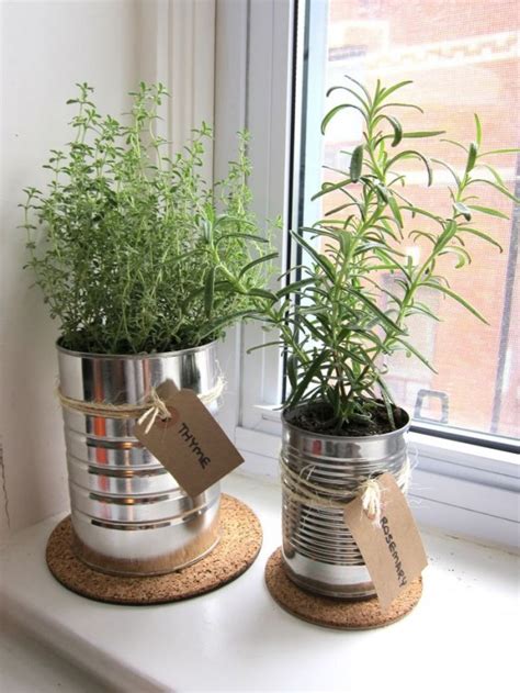 12 Creative Ideas How To Display Your Indoor Plants