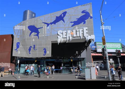 People Visit Sea Life Aquarium In Central Melbourne Australia Stock