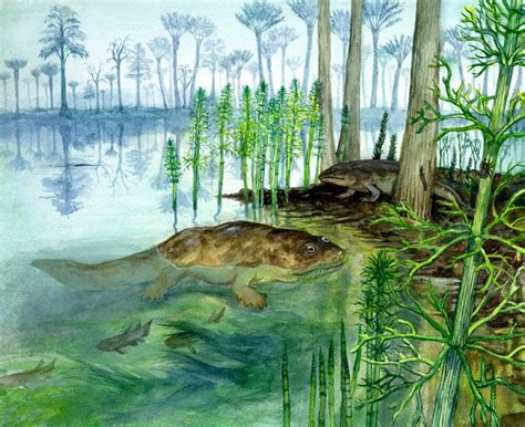 Devonian Scene With Ichthyostega And Archeocalamites By Philip Newsom