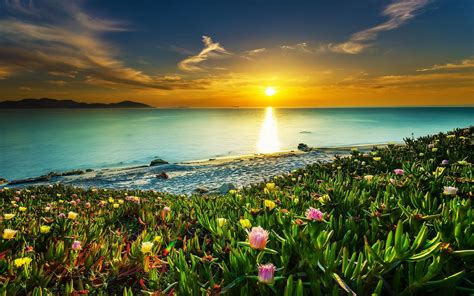 Wallpaper Sunlight Landscape Colorful Sunset Sea Flowers Bay