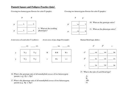 The offspring of a monohybrid cross is called monohybrids. 13 Best Images of Punnett Square Worksheets With Answers - Punnett Square Worksheet Answers ...