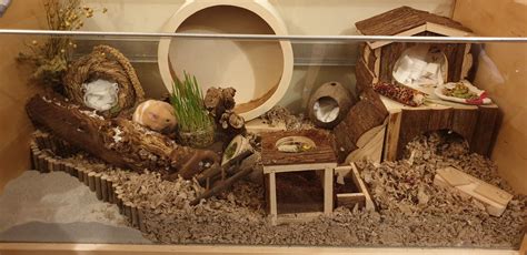 Stellas Skyline Marrakesh Terrarium Hamster Cages Hamster Habitat