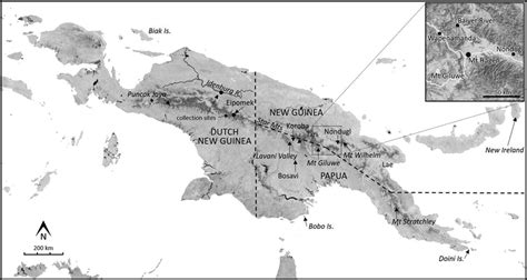 Mainland New Guinea Showing Colonial Territories In The Mid 20th