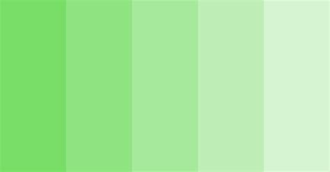 Pastel Green Gradient Color Scheme Green