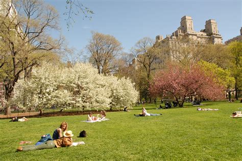 Central Park In New York City Best Picnic Spots Central Park Picnic Central Park Nyc Park