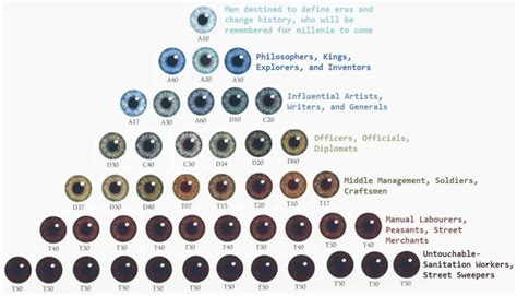 So Were Having Eye Colour Hierarchies As Well Now Forwardsfromklandma