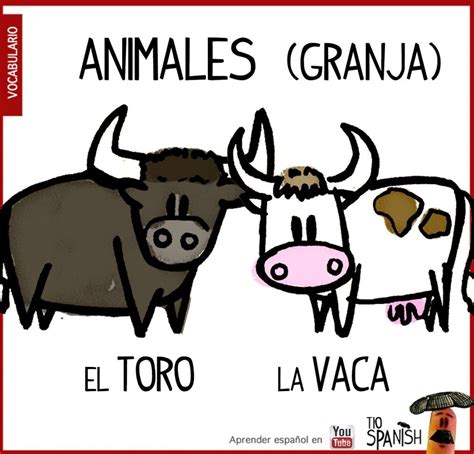 Pin En Vocabulario Animales En Español