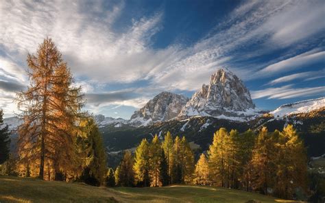 Landscape Nature Fall Mountain Forest Grass Sunset