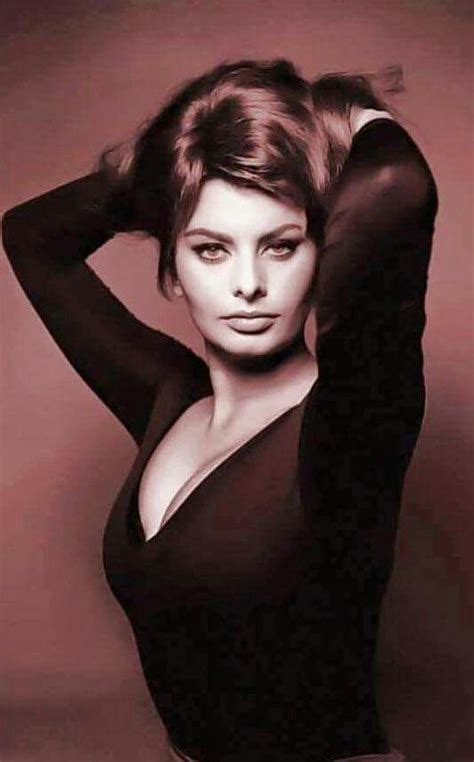 Images Sofia Loren Sophia Loren Images Sophia Loren