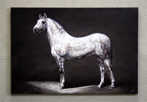 White Horse Das Weisse Pferd
