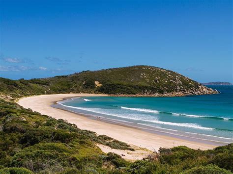 Maybe you would like to learn more about one of these? Wilsons Promontory, Nature and wildlife, Gippsland ...