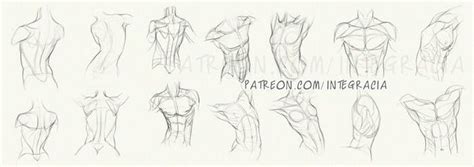 Male Upper Body Drawings By Robertmarzullo On Deviantart Anatomy For