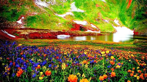 Valley Of Flowers Mountain Flowers Nature Meadow Valley Hd