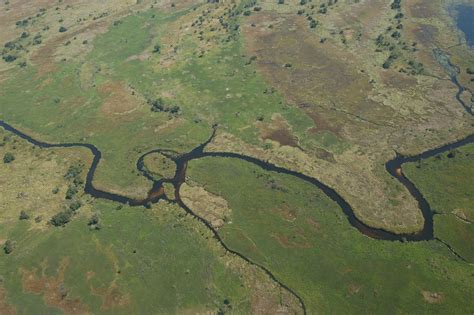 Fileokavango Delta Botswana1 Wikimedia Commons