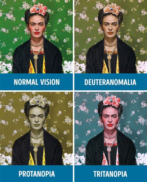 How People With Different Kinds Of Colour Blindness See The World