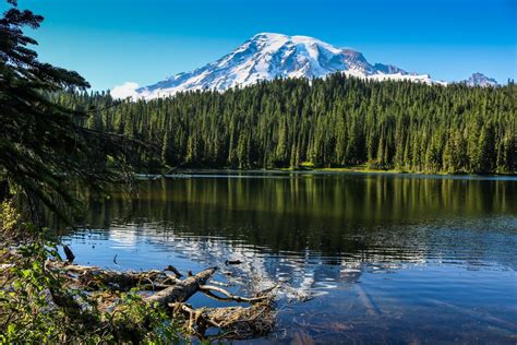 Best Seattle Day Trips Mt Rainier National Park Travel