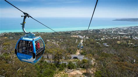 See full list on en.wikipedia.org Arthurs Seat Eagle, Attraction, Mornington Peninsula, Victoria, Australia