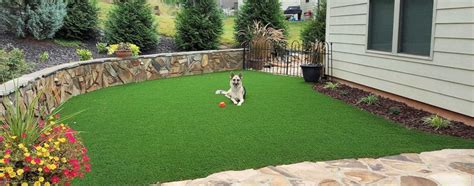 Pet And Dog Turf Charlotte Nc Artificial Grass For Dogs Synlawn Carolina