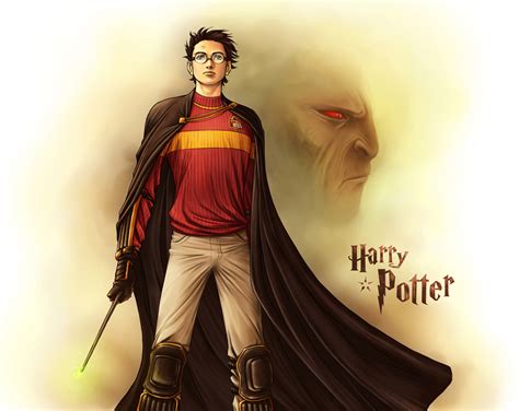 Harry And Voldemort Harry Potter And Lord Voldemort Fan Art 7589949