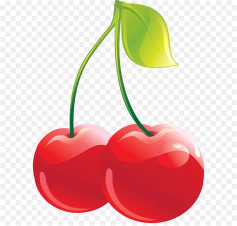 Cherry Vector Png 20 Free Cliparts Download Images On Clipground 2023