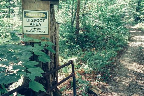 Inside ‘bigfoot Basecamp Ohios Cryptid Carnival For Sasquatch Trackers