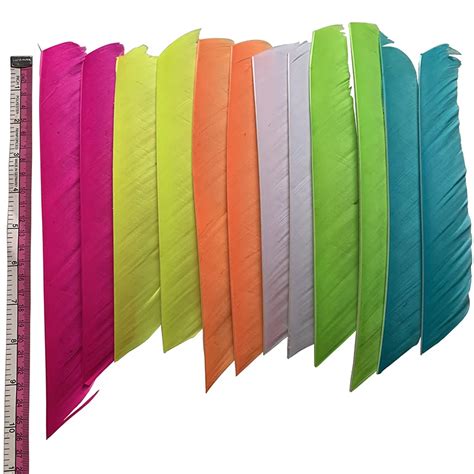 36 Pcslot Full Length Real Turkey Feather Fletching Archery Multicolor
