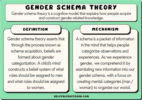 Gender Schema Theory Examples Definition Criticisms 2024