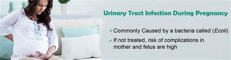 Urinary Tract Infection During Pregnancy Causes Symptoms Diagnosis Treatment And Prevention