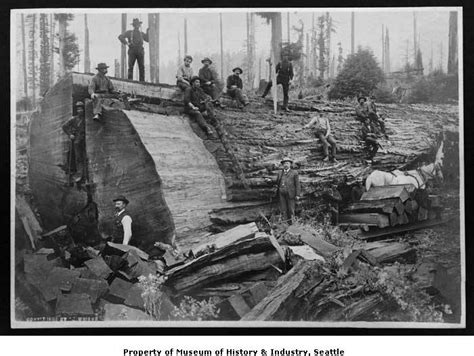 The Northwests Logging Heritage