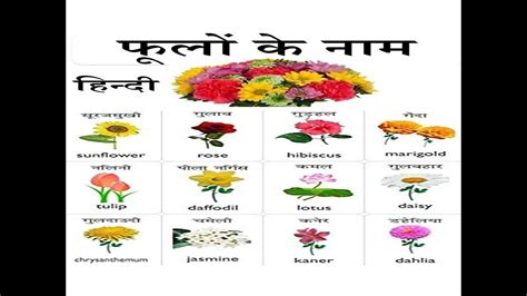 Flowers Name In English And Hindi With Images The Meta Pictures