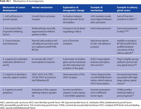 When one's own grading was compared with the afip grading, there were. Afip Grading Of Mucoepidermoid Carcinoma - An Analysis Of ...