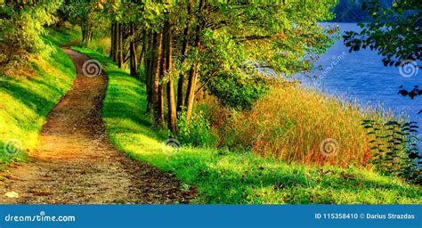 Scenic Nature Landscape Of Path Near Lake Stock Photo Image Of Blue