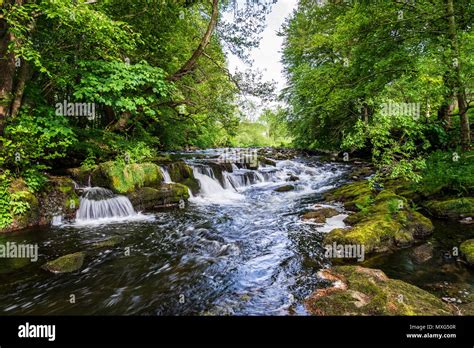 Lake District River Walk With Waterfalls And Bridges Stock Photo Alamy