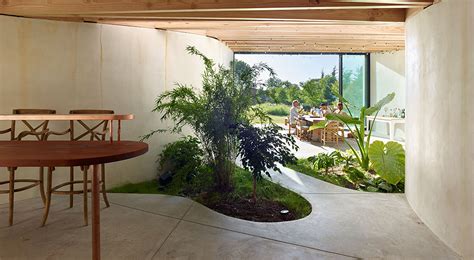 Create A Stunning Indoor Garden In Small Spaces Expert Tips