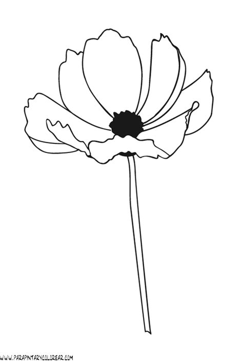 Dibujos Para Colorear De Flores Amapolas 001  Amapola Dibujo Dibujos
