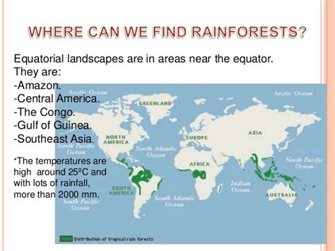 Equatorial Climate Rainforests