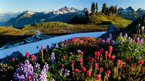 Scenic Pictures Of Washington State Beautiful Scenery Nature