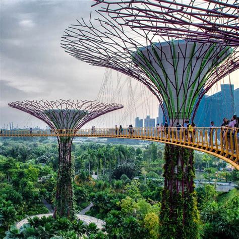 Supertrees In Singapore Singapore Places To Go Gardens By The Bay