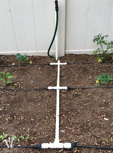 How To Install A Drip Watering System For The Garden Garden