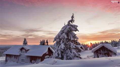 Winter Great Sunsets Viewes Houses Trees Lillehammer Municipality