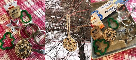 How To Make Birdseed Ornaments Pittsburgh Earth Day