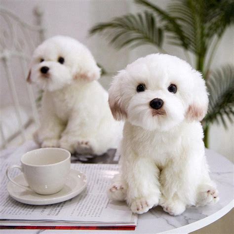 2020 High Quality Maltese Dog Plush Toy Maltese Dog Doll Simulation