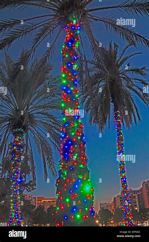 Christmas Decorated Palm Trees