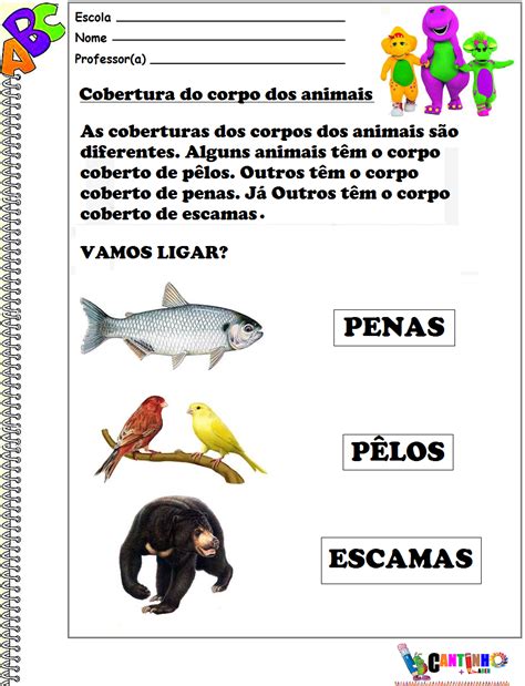 Atividades Cobertura Do Corpo Dos Animais Educação Infantil