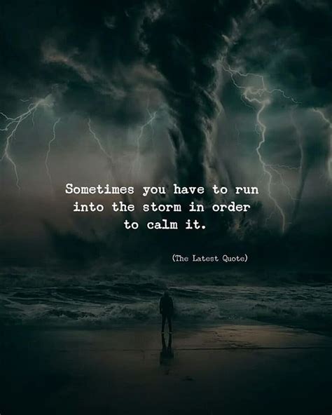 Sometimes You Have To Run Into The Storm In Order To Calm It By