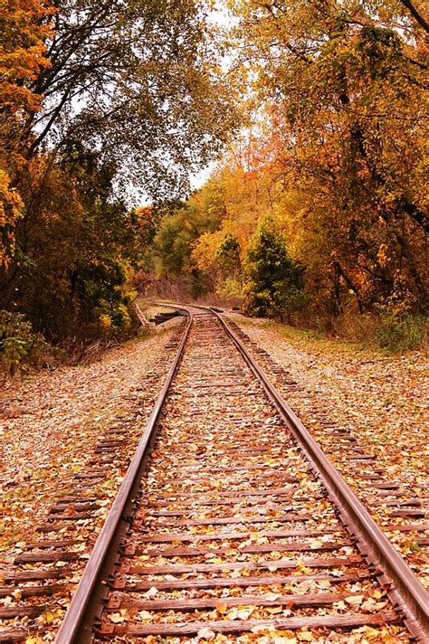 Fall Railroad Tracks Photograph By Kimberly Peterson Fine Art America