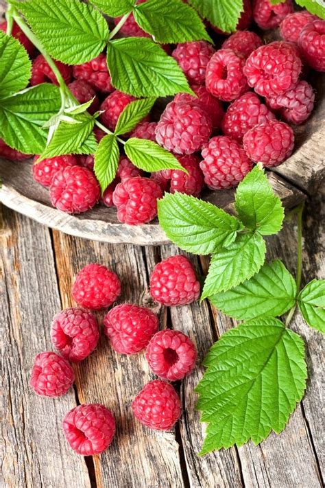 Fresh Raspberries With Leaves Stock Photo Image Of Nature Juice