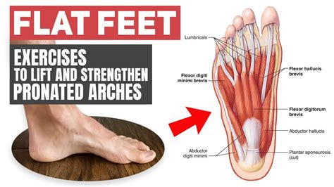 Flat Feet Rehab Exercises For Pronated Arches Youtube